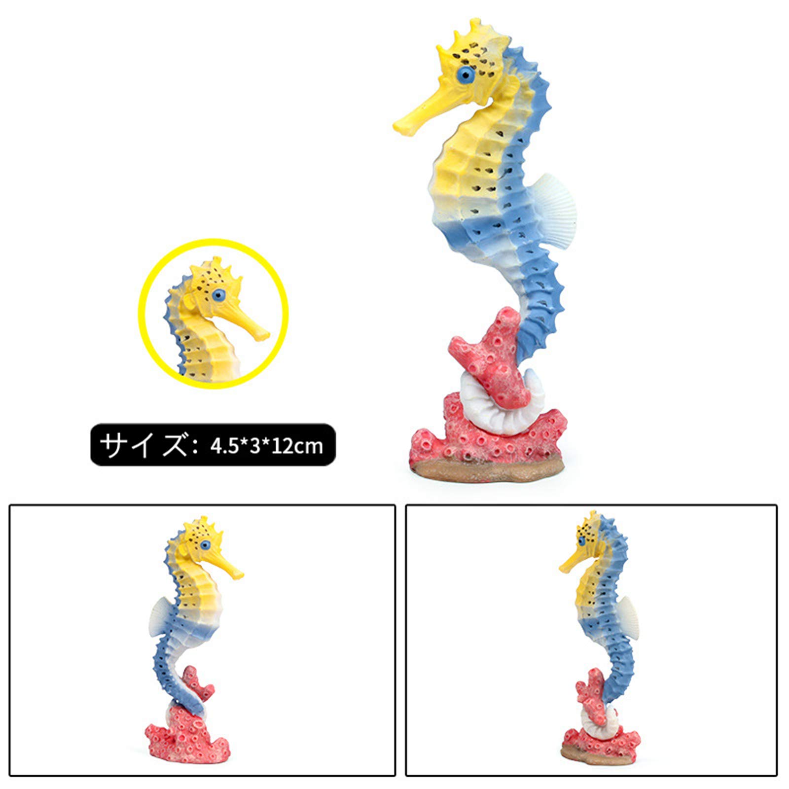 たつのおとしご　2点　5000 Amazon.co.jp: Eden Toys タツノオトシゴ ヨウジウオ科 魚 海洋